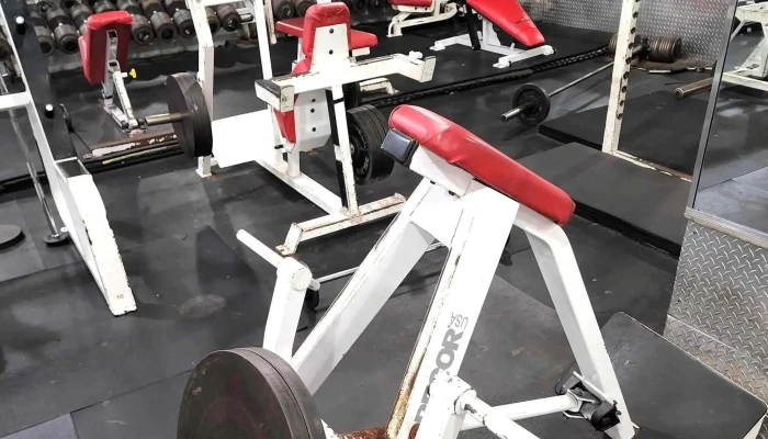 Xtreme Fitness Of Westchester -  Website - Mt Vernon