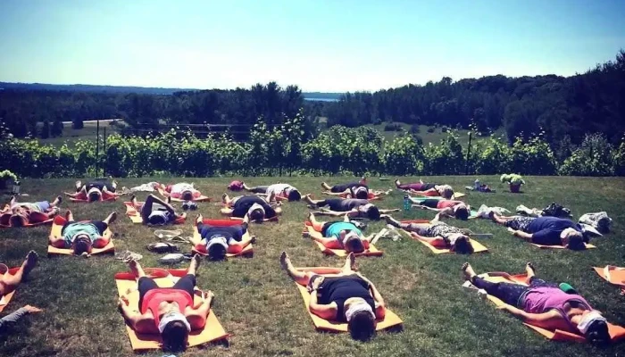 Yoga in the Vines Traverse City - Traverse City