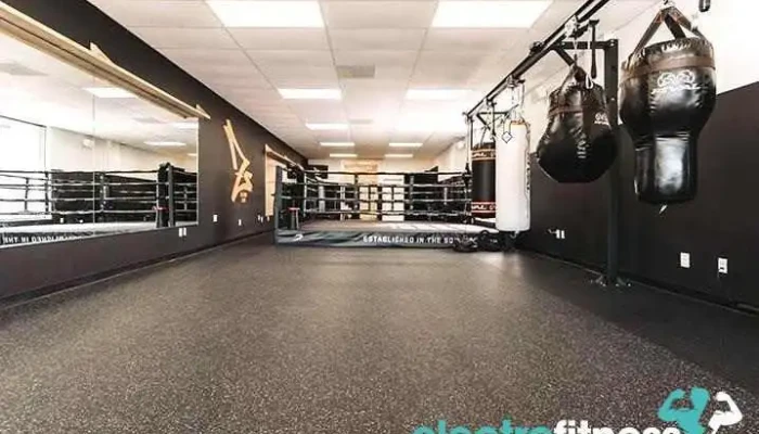 Z's Boxing Gym - Annandale