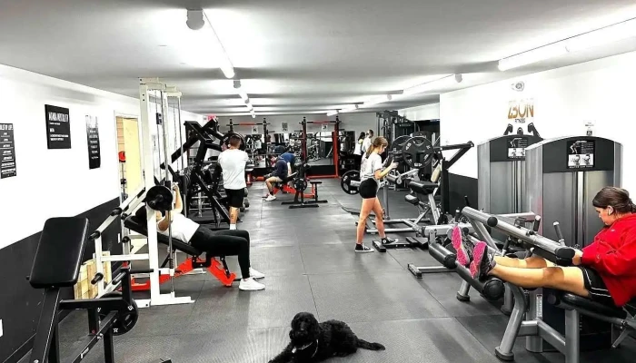 Zbon Fitness -  All - Turner