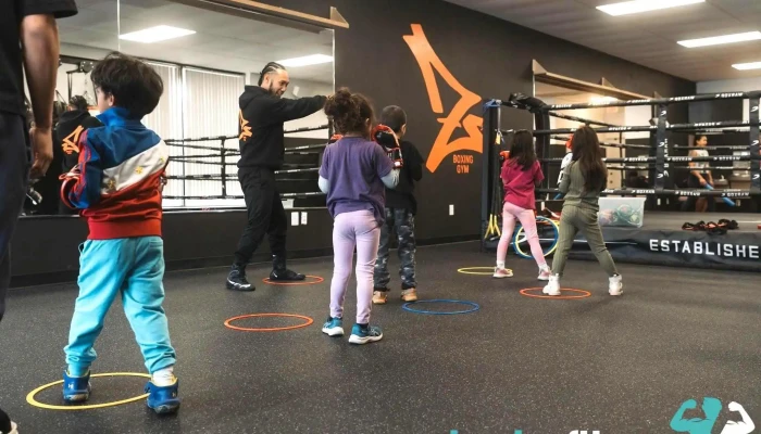 Zs Boxing Gym Boxing - Annandale